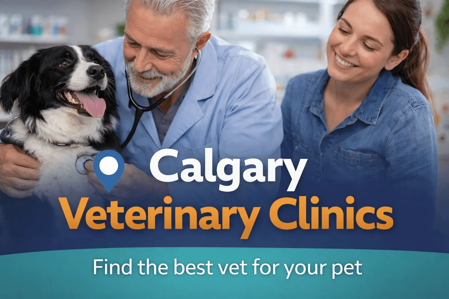 Veterinarian checking a dog with pet owner at Calgary veterinary clinic for routine pet care