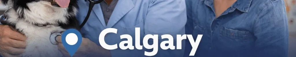 Veterinarian checking a dog with pet owner at Calgary veterinary clinic for routine pet care